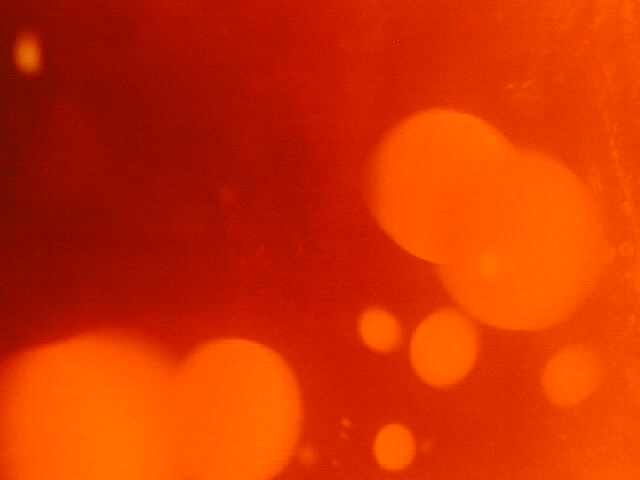 lava5.jpg