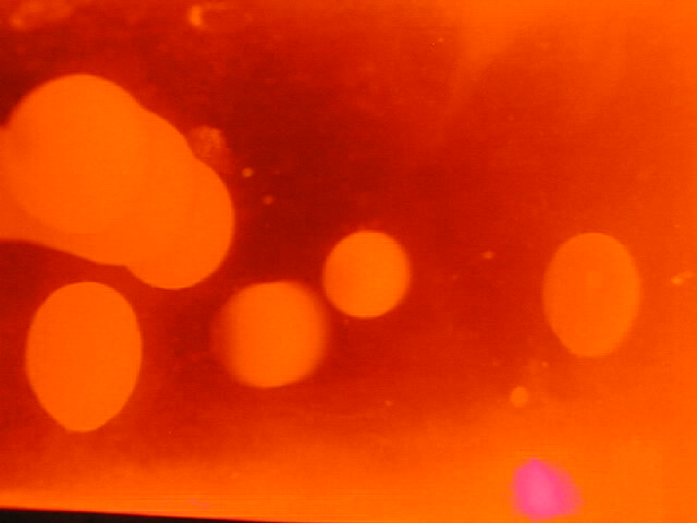lava6.jpg